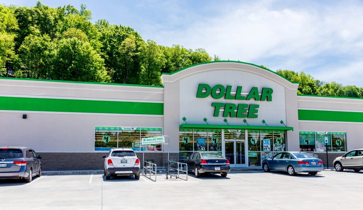 Dollar Tree 9 grocery products you should buy