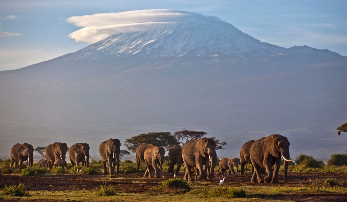 Five dead after helicopter crash on Mount Kilimanjaro