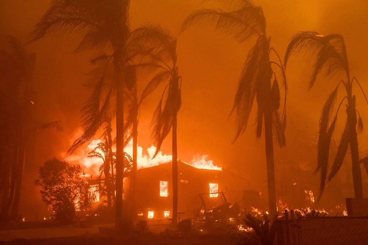 2025 A Year of Fires and Immigrant Hunt