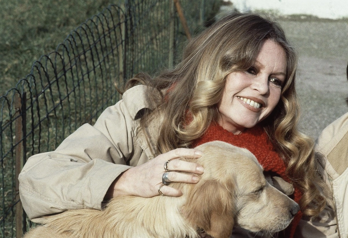 Brigitte Bardot dies at 91 leaving a complex mark on cinema and culture