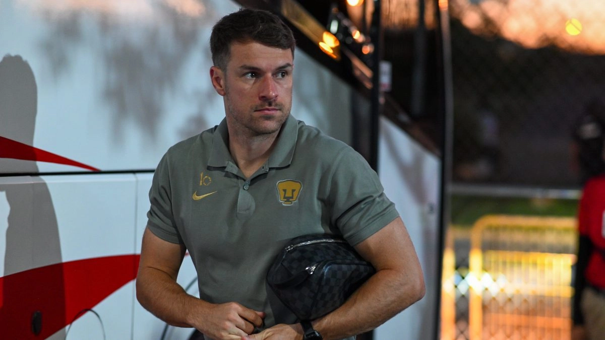 Aaron Ramsey039s family dedicates an emotional message to his lost pet in Mexico