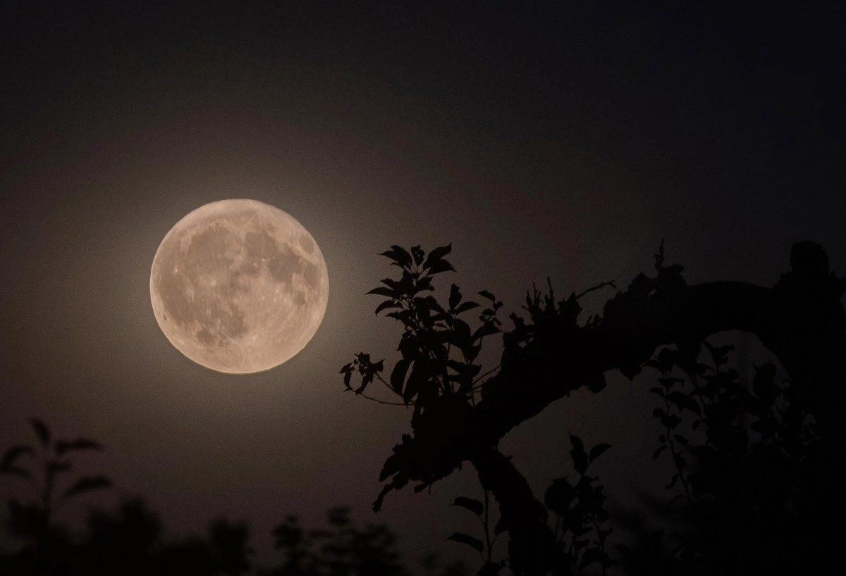 The January 2026 super full moon impacts the destiny of 3 signs