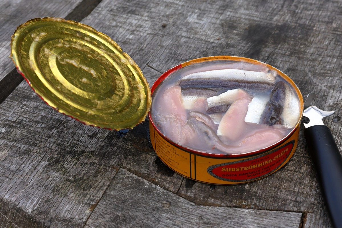 The most disgusting food in the world what is surstromming and what does it smell like