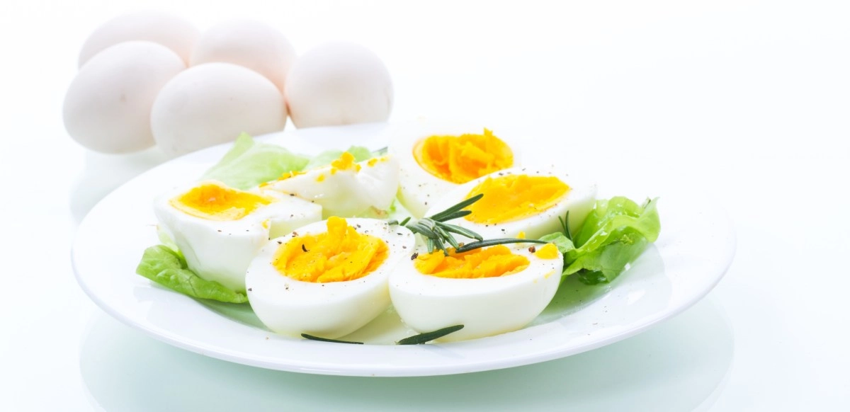 Is the egg the best protein provider