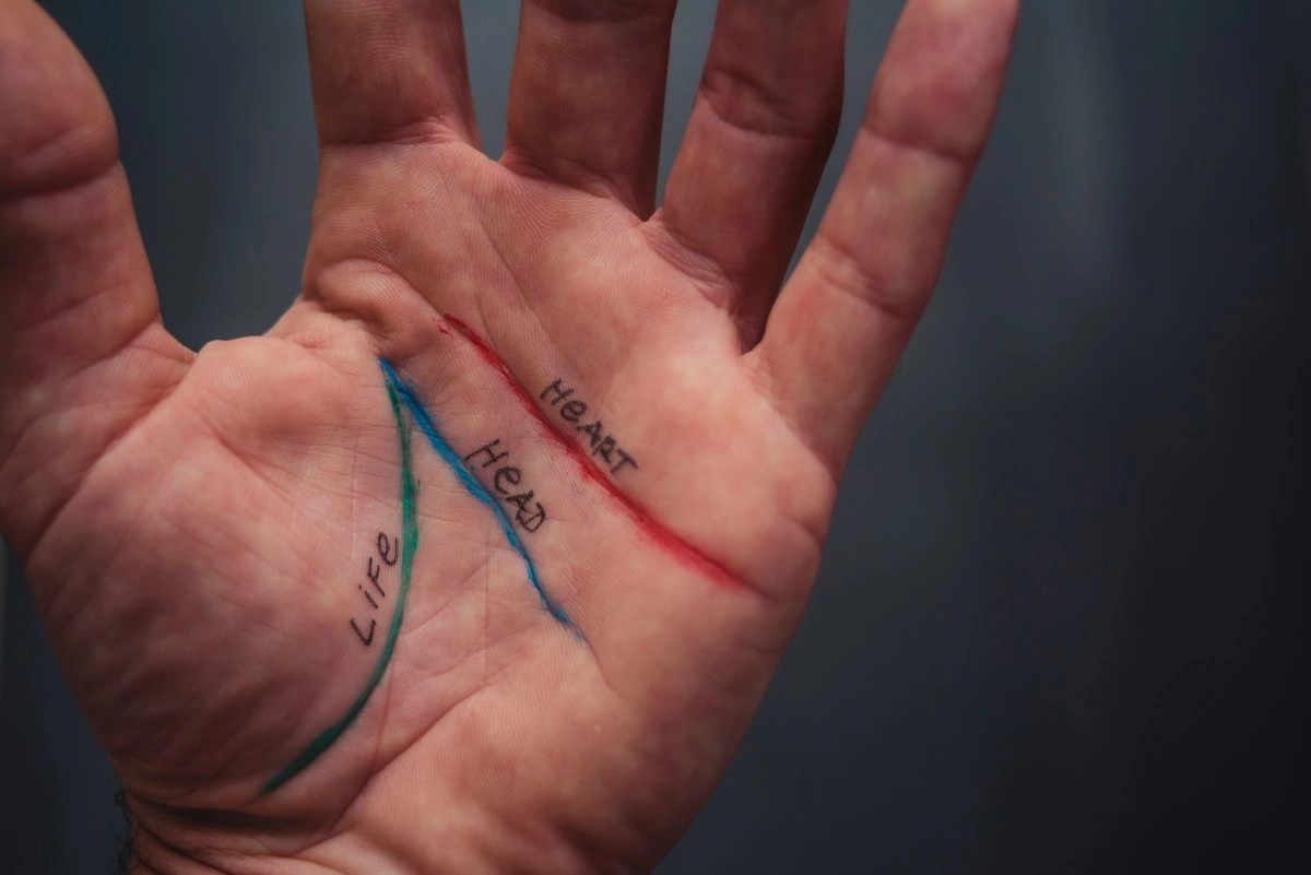 How to read the lines of the hand without being an expert and what each one means