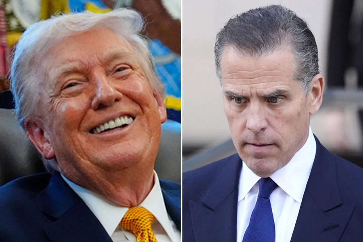 Donald Trump mocks Hunter Biden as a Democratic presidential candidate