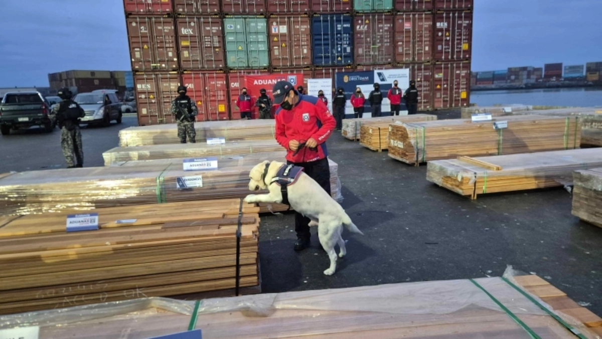 Chile achieved the largest drug seizure in its history valued at 8334 million dollars