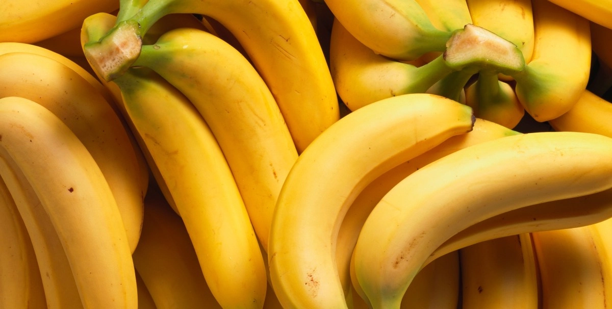 The banana cambur or plantain a wonderful source of energy but not recommended for everyone