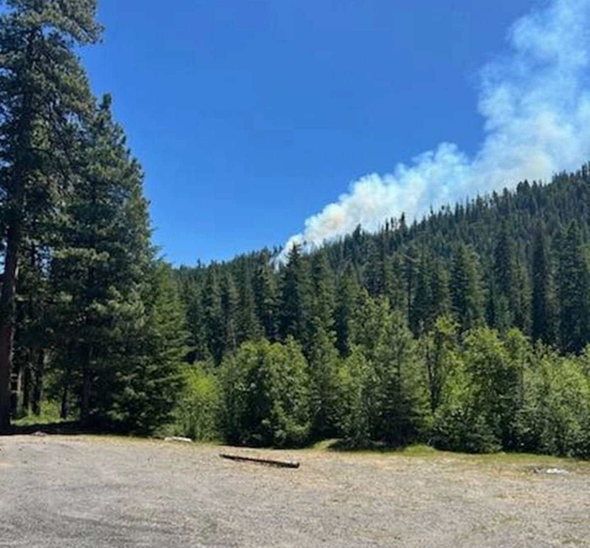 US military plane crashes near lake in Washington and causes forest fire