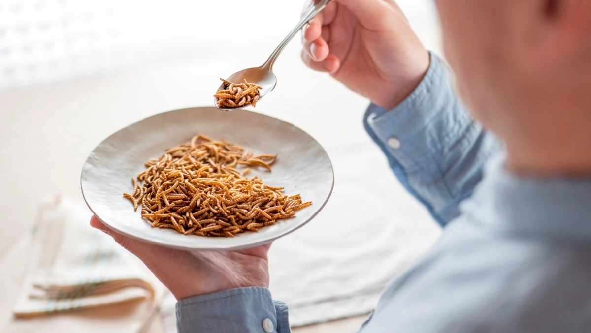 A tasting could be enough to motivate you to consume insectbased foods