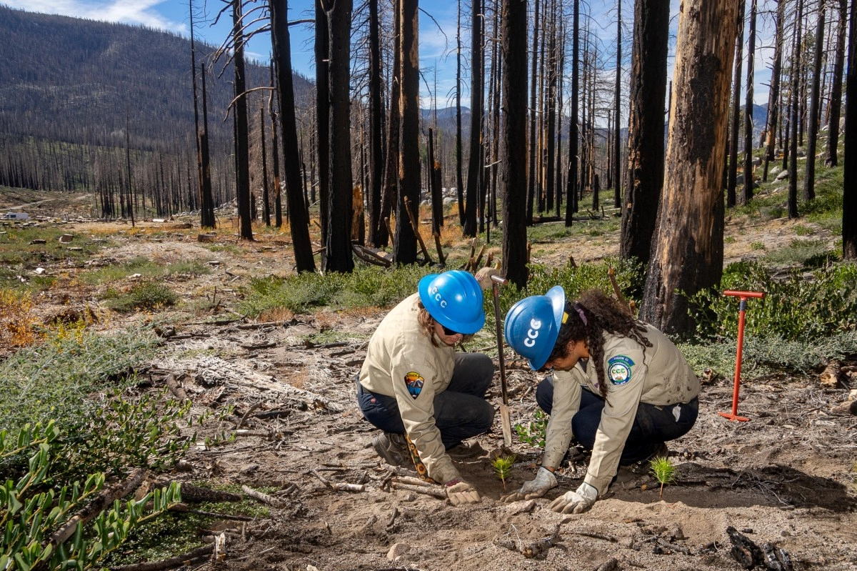California Conservation Corps Celebrates 50 Years of Supporting Youth and Protecting Nature