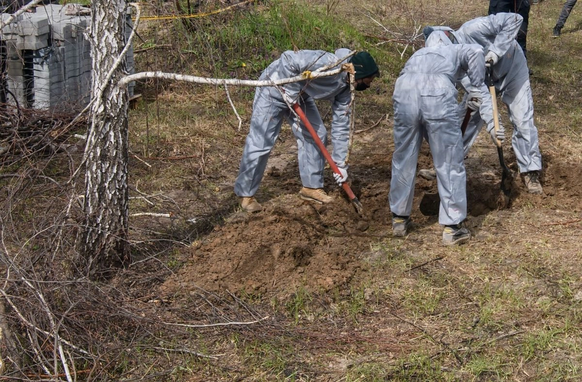 More than 100 dead dogs found in a California shelter and the investigation grows