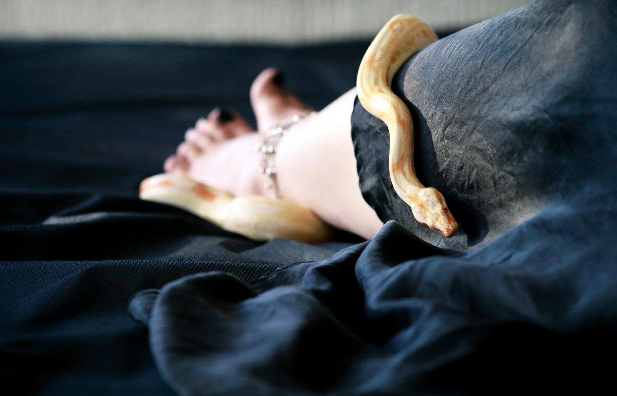 Dreaming about snakes has a positive and negative meaning what is it