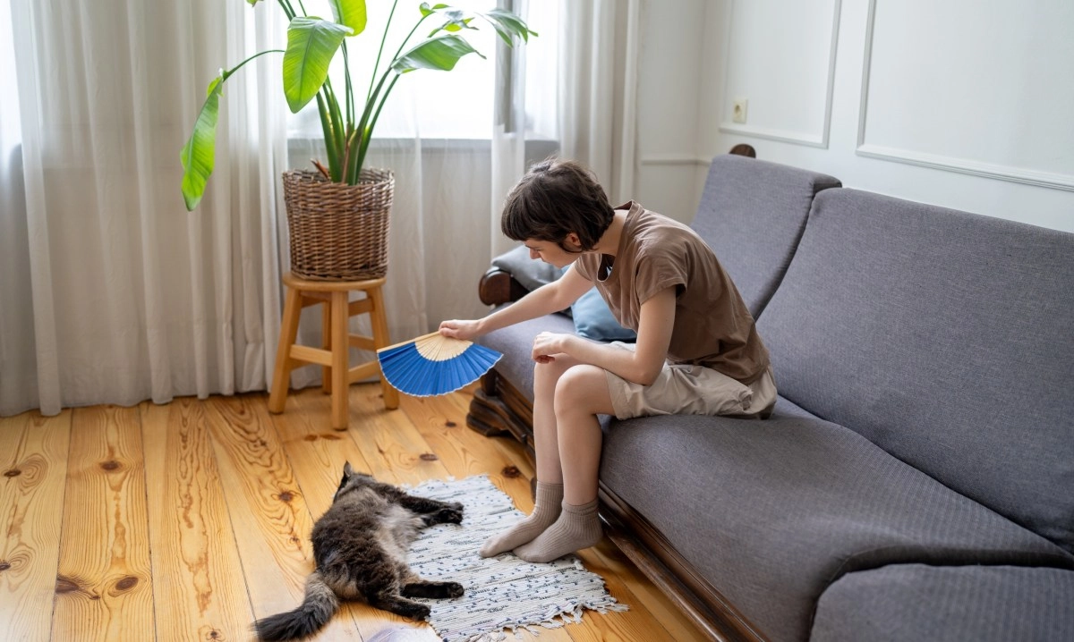 How to protect pets in extreme heat