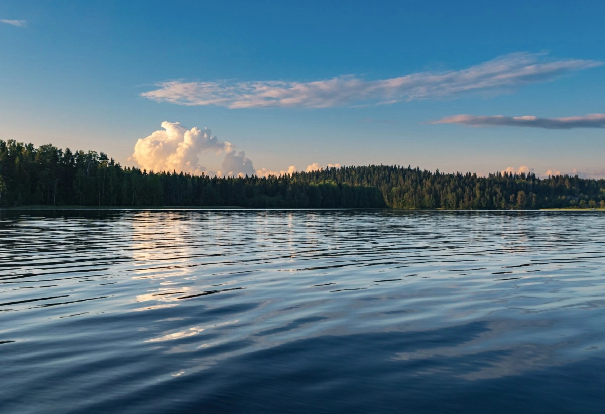 A 2yearold boy and a 74yearold woman die after drowning in a lake during a family outing in Texas