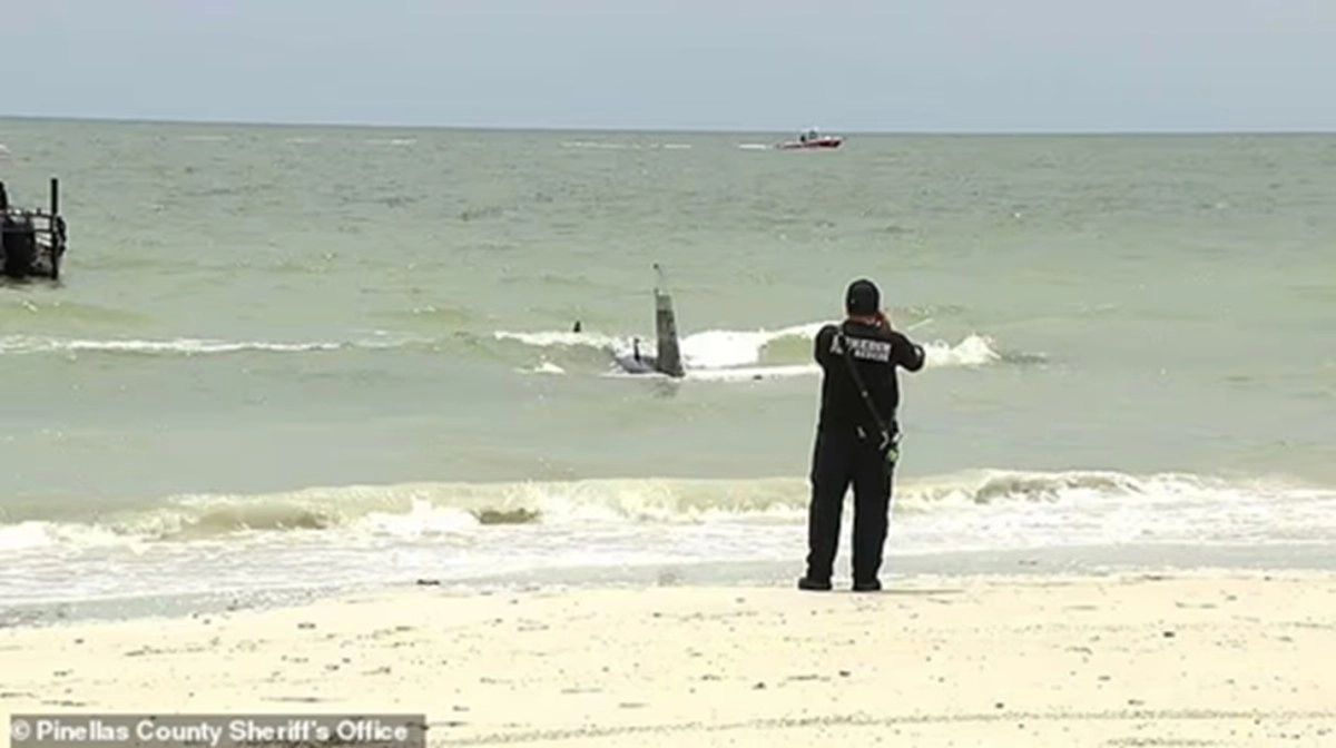 Father and son survive after emergency landing of a small plane off the coast of Florida