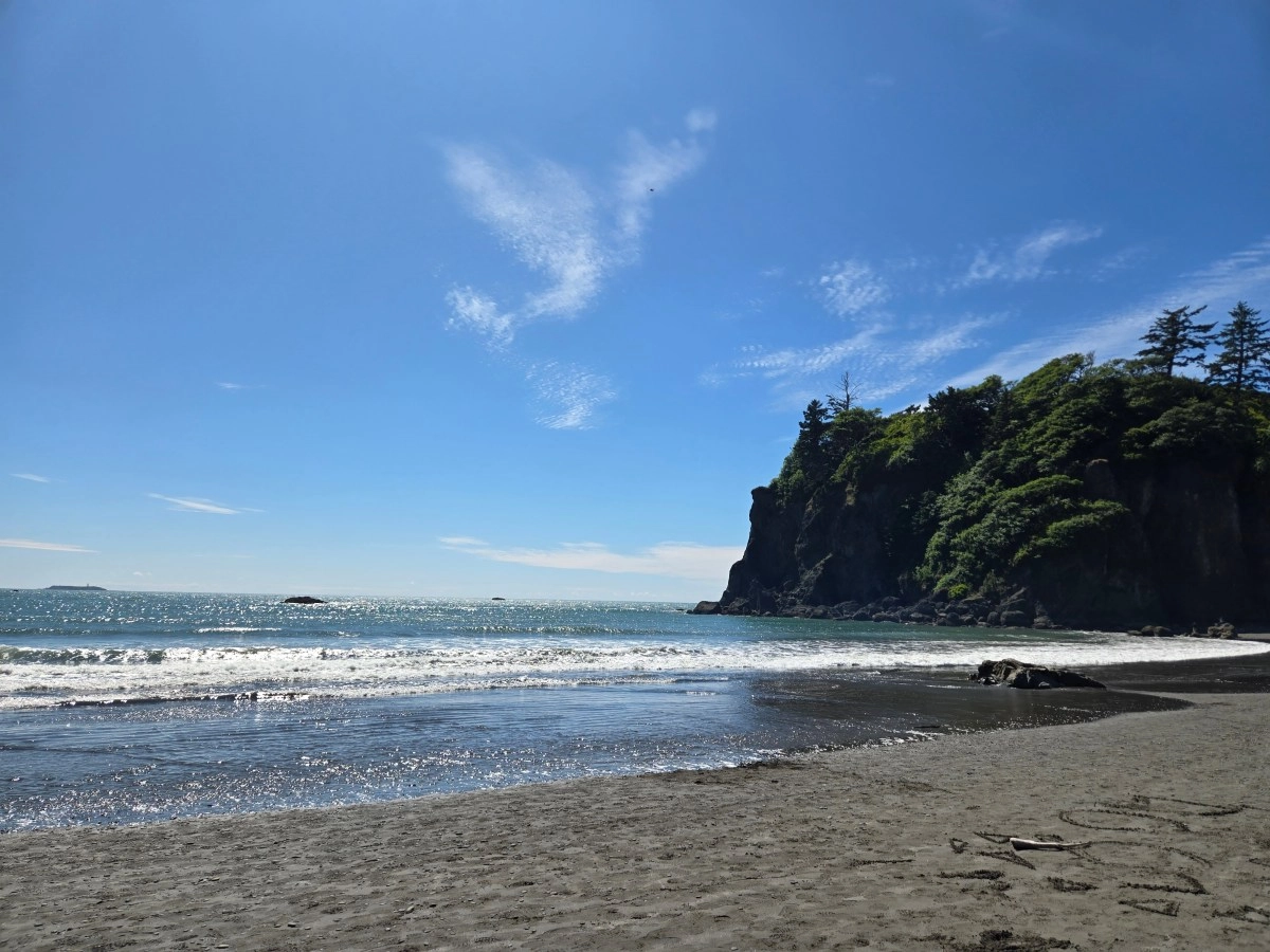 6yearold boy crushed to death by huge log while playing on Washington beach
