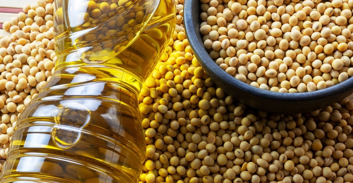 Soybean oil healthy or unfairly demonized