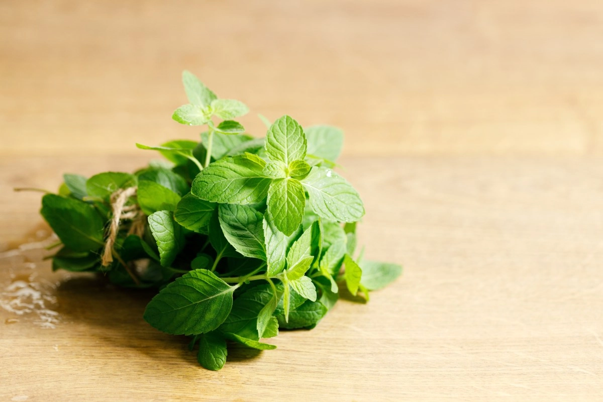 The meaning of peppermint for good luck how to use it in rituals