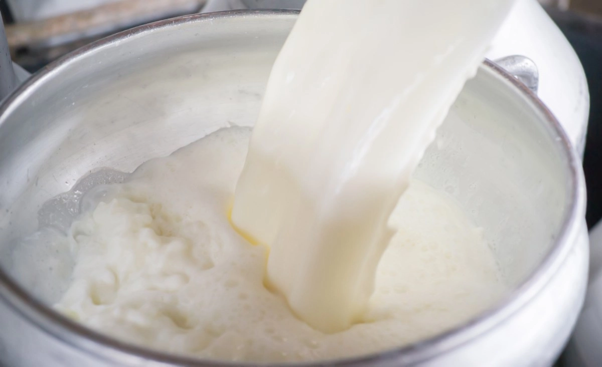 These are 5 foods you should never eat according to an expert