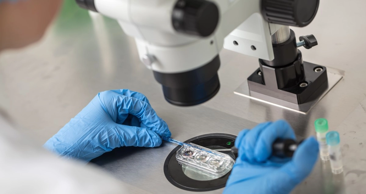Understanding ovarian stimulation what should you know about fertility treatments
