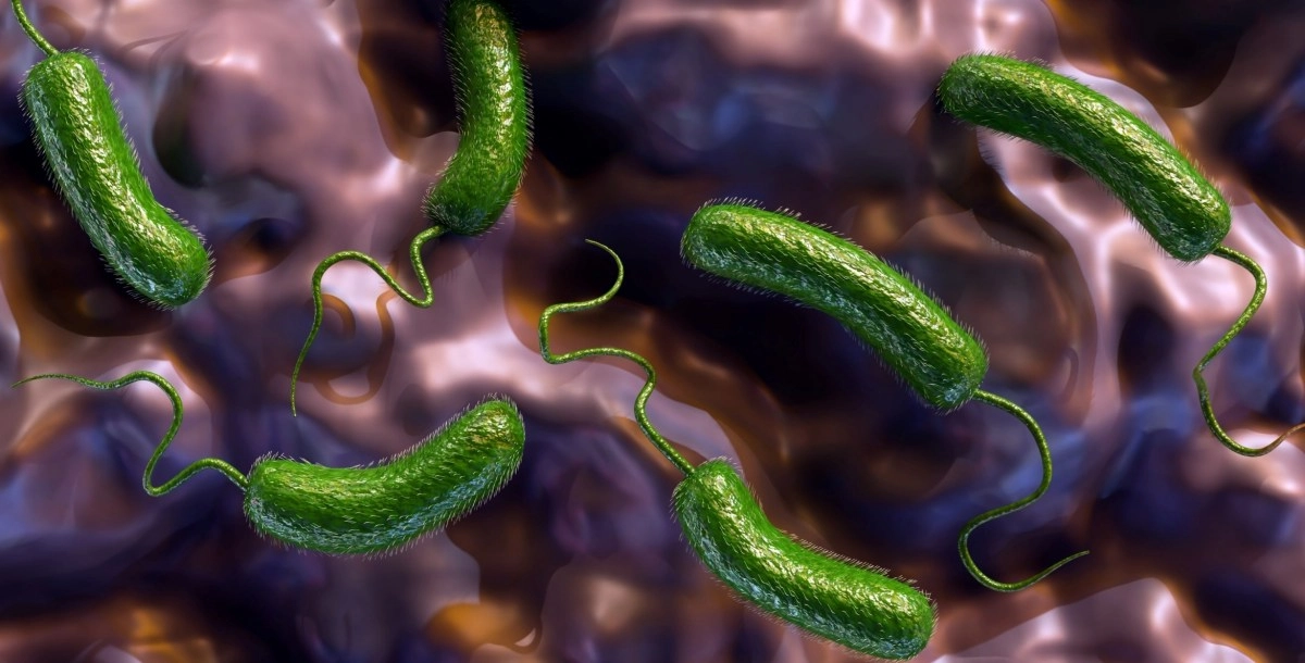 Death toll from flesh-eating bacteria on US coasts rises