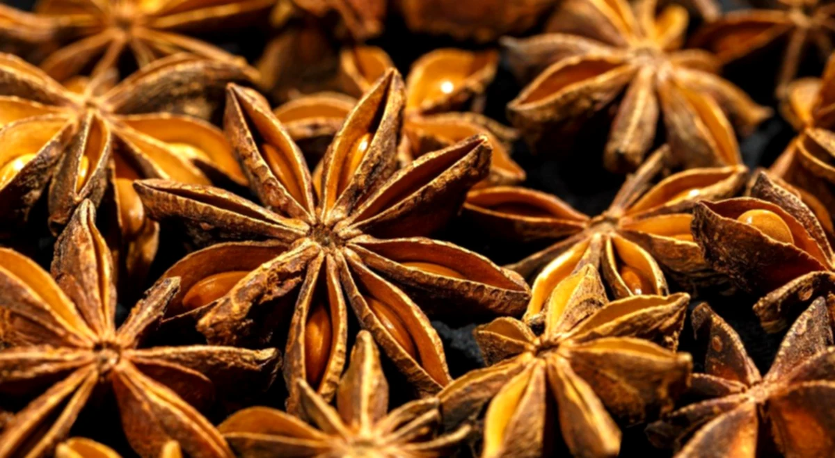 Starred angelica, a highly regarded pepper, has its advantages, advantages, and drawbacks.
