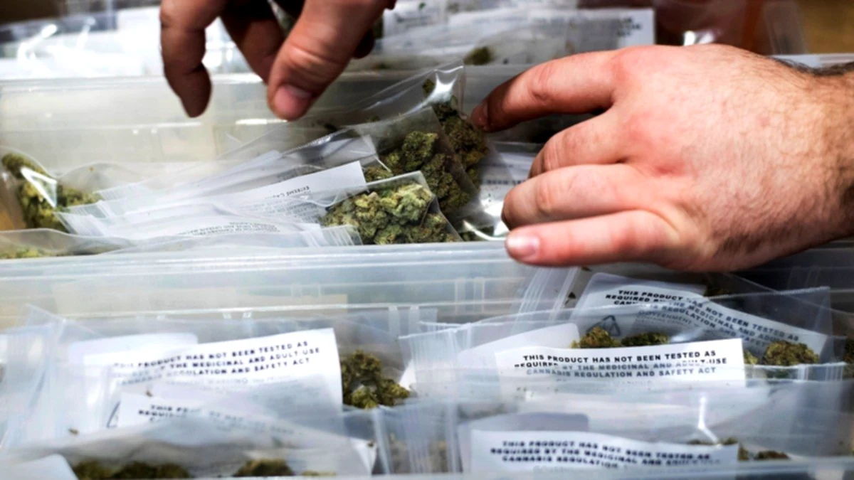 In exchange for free go, Japan detains two Americans who have been smuggled medication.