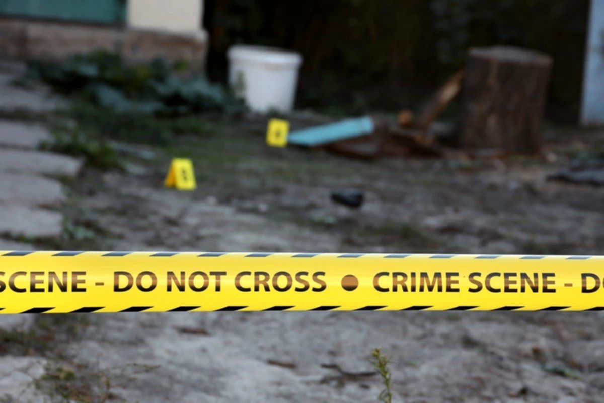 11-year-old child detained in Oklahoma after her brother, age 15, was shot dead.