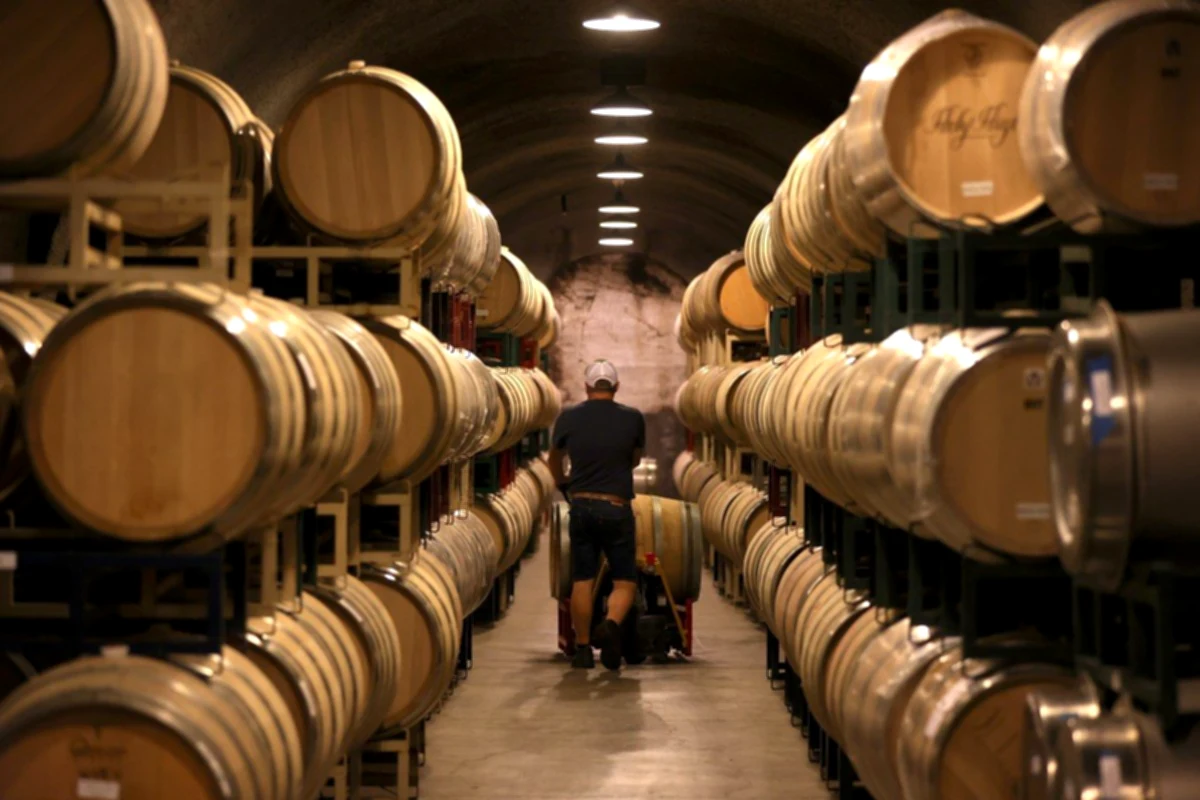 Lower demand for wine plunges the price of grapes and puts California farmers tight