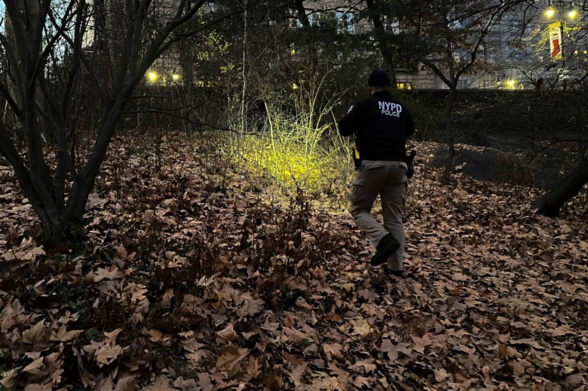 Guy Arrested for Killing a Woman Found Struck in Central Park