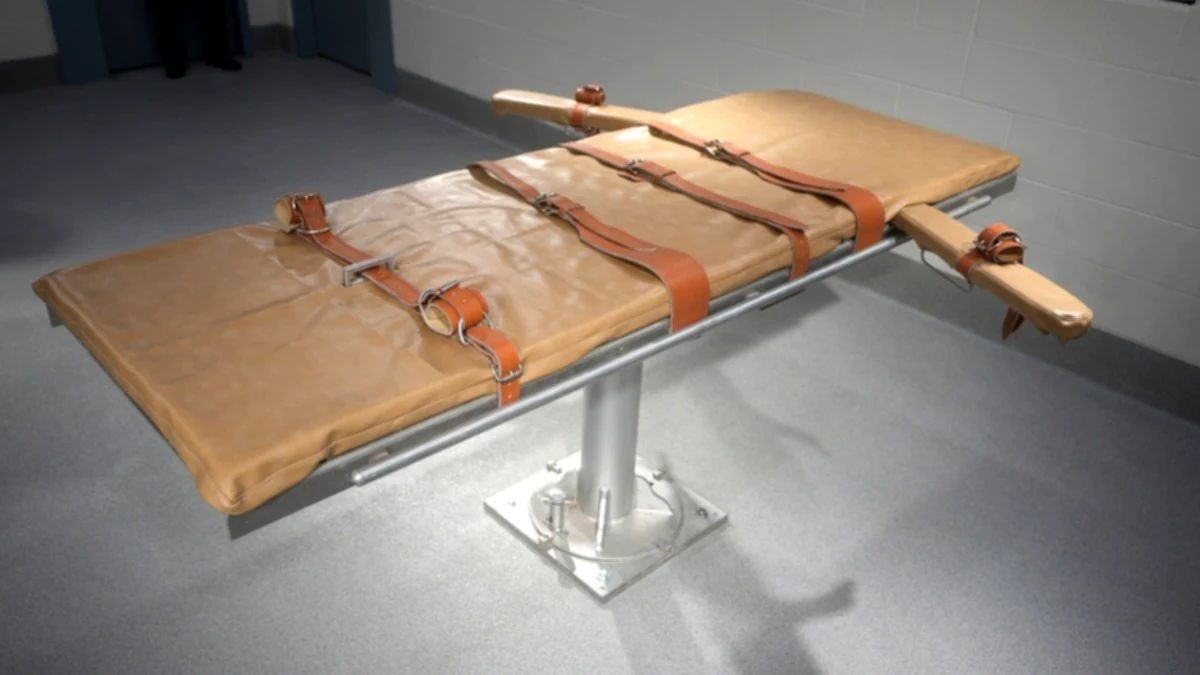 Christa Pike and other cases of failed execution by lethal injection in the US