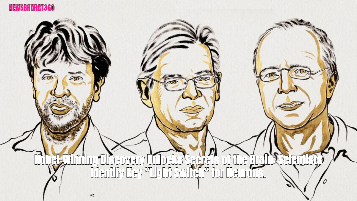 Nobel-Winning Discovery Unlocks Secrets of the Brain: Scientists Identify Key "Light Switch" for Neurons.