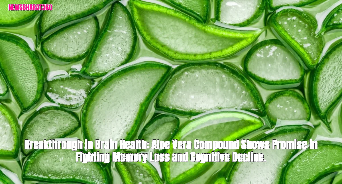 Breakthrough in Brain Health: Aloe Vera Compound Shows Promise in Fighting Memory Loss and Cognitive Decline.