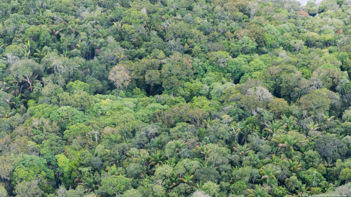 Ten years of the Paris Agreement What has been its environmental impact in Latin America and the Caribbean