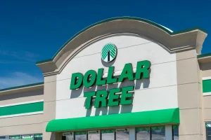 Dollar Tree: 4 items that are name brand and you didn't know