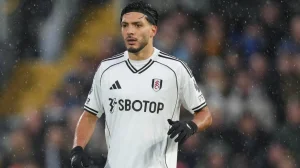 Raul Jimenez is praised by his coach in England