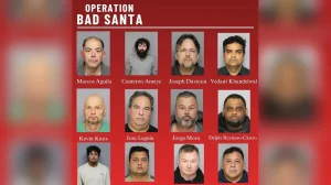 Undercover operation in New Jersey detected 12 men who attempted to have sex with minors