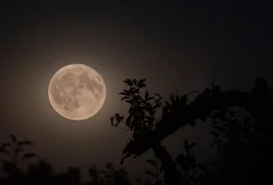 The January 2026 super full moon impacts the destiny of 3 signs