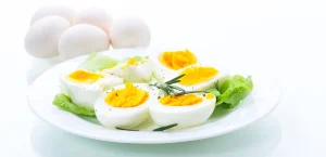 Is the egg the best protein provider?