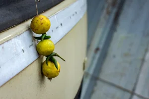 Homemade recipes to eliminate the evil eye with egg, lemon, and salt