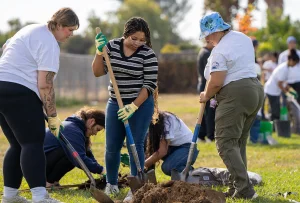 The California Service Corps is seeking 10,000 volunteers to work for the community