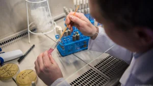 Brazil investigates two suspected cases of Ebola