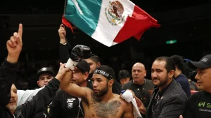 The Pantera Nery was beaten, knocked out in four rounds