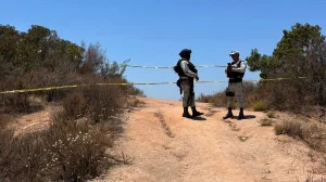 They find remains of 3 missing teenagers who traveled to Tijuana for an alleged job offer
