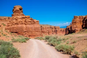 Four hikers have died from extreme heat in the Grand Canyon during June