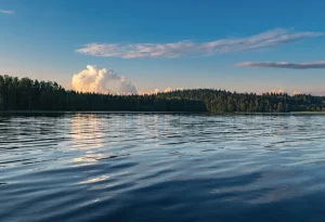 A 2-year-old boy and a 74-year-old woman die after drowning in a lake during a family outing in Texas