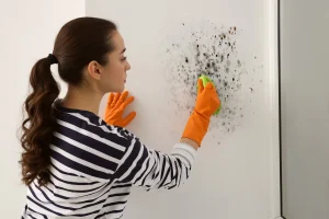 How to remove mold from walls with a homemade cleaner - it will never come back