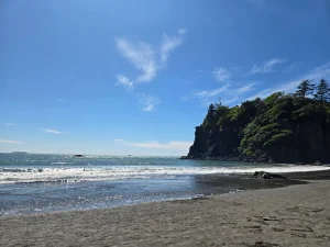 6-year-old boy crushed to death by huge log while playing on Washington beach