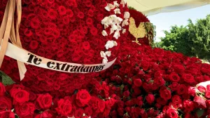 Grave of El Mencho was filled with floral arrangements on the occasion of his birthday